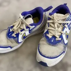 24㎝ NIKE コスミックランナー