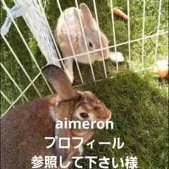 ◆◆aimeronプロフィール参照して下さい様専用◆◆