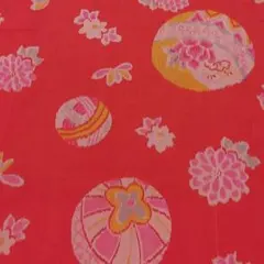 Item thumbnail for item 81bb7a17-f863-448a-9e7e-cb7fdda2098e