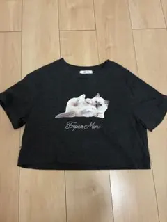 NICE CLAUP 猫プリント ショート丈 Tシャツ