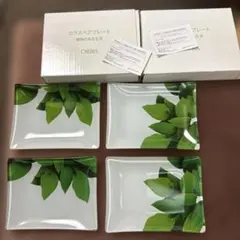 ORBIS ガラスペアプレート2セット 計4枚植物のある生活ノベルティ強化ガラスのサムネイル