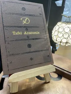 D(ディー) Anatomie CD V系　ヴィジュアル系　浅葱　ASAGI