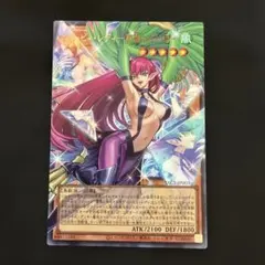 遊戯王　ハーピィレディ　華麗なる分身　オーバーフレーム　ウルトラ