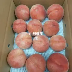山形県産17桃　31日