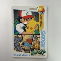 ポケモン ずかんカード ポケパーク ピチュー兄弟 わんぱくトレイン