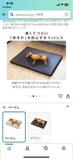 Item thumbnail for item 07534527-4609-4d86-9031-4399e30ea0e0