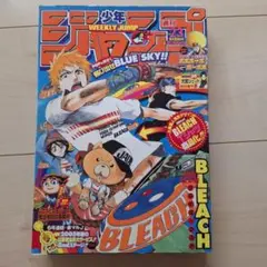週刊少年ジャンプ 2003年 51号 BLEACH 人気投票結果 巻頭カラー - メルカリ