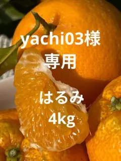※yachi03様専用　和歌山県由良町産　はるみ　4kg