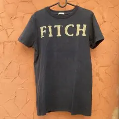 訳有未着用高級旗艦店限定全盛期ABERCROMBIE & FITCH Tシャツ