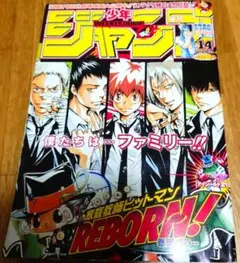 週刊少年ジャンプ 2006年 14号 家庭教師ヒットマンREBORN!表紙 - メルカリ