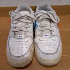 Item thumbnail for item 2a86390a-0801-4f55-9765-42710ff6e541