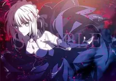 fate stay night heavens feel 来場者特典のセット