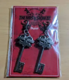 【匿名配送☆東方神起 THE MISSION 鍵型ファスナーチャーム】