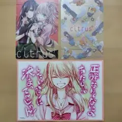 2026年最新】citrus サブロウタ サインの人気アイテム - メルカリ