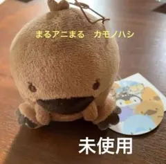 まるアニまる　カモノハシ