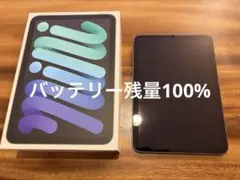 Apple iPad mini 64GB スペースグレー 本体