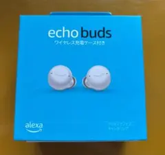 新品未開封★Echo Buds (エコーバッズ)のサムネイル
