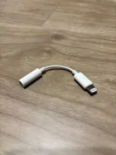 iphone 付属品　純正変換アダプタ