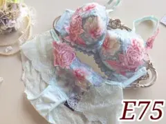 サルート97【マレフィセント】E75＋ショーツLサイズ GB 店舗限定