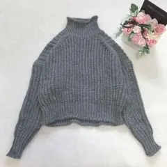 H＆M ハイネックショート丈ニット レディース トップス カジュアル ベーシック