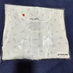 Item thumbnail for item b3f056c3-27bb-4350-841c-e6e5f01e9e98