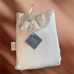 Item thumbnail for item 10038003-841f-4ba4-9863-01a6c5f5152c