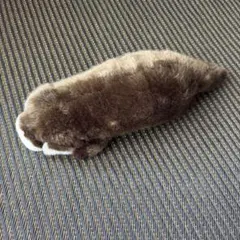 カワウソ　ぬいぐるみ