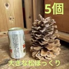 Item thumbnail for item 84fff332-e38c-49ab-905d-ff4d6beb6d47