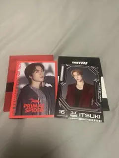 ITSUKI トレーディングカード 16 PRIMAL SPIDER