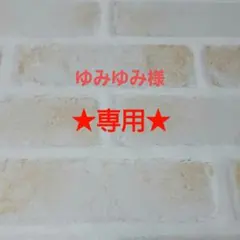 【ゆみゆみ様専用ページ】