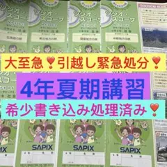 ⑱あ サピックス SAPIX 小学5年 理科 サマーサピックス 16冊 - メルカリ