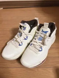 【美品】バスケットボールシューズ(ノヴァサージ3)25.5cm