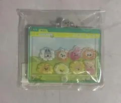 straykids skzoo カスタムアクリルキーホルダー popup オールのサムネイル