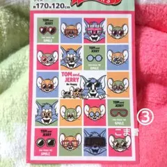 Item thumbnail for item 8596e02c-d6a0-46f2-8674-e96b46df723a