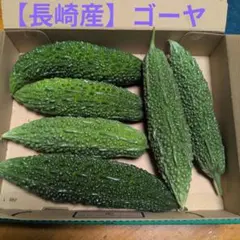 【長崎産】②ゴーヤ苦瓜のサムネイル
