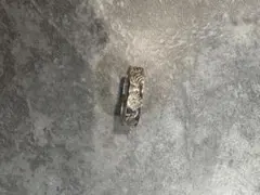 早いモノ勝ち　値下げ不可　アリゾナフリーダムリング