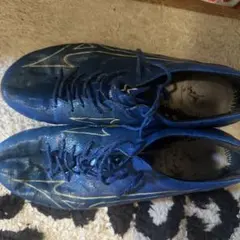 ミズノアルファJAPAN 青