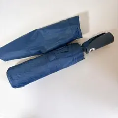 Item thumbnail for item 67d05f95-69aa-4b3d-8c50-3cce78267b73