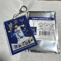 リチャード様 リクエスト 3点 まとめ商品