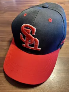 Item thumbnail for item 76dc2ee7-021d-4e63-8a45-11ef1a50a88e