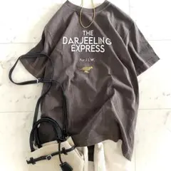 美品 ドゥーズィエムクラス DARJEELING Tシャツ ブラウンのサムネイル