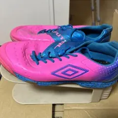 Item thumbnail for item 8136c97d-aa7e-4060-849e-4f3519fa3e9f