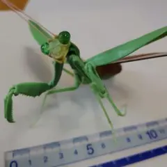 ぽ*る様 いきもの大図鑑　カマキリ　フィギュア　昆虫