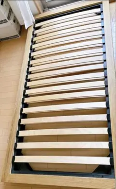 ‼️本日限定価格‼️