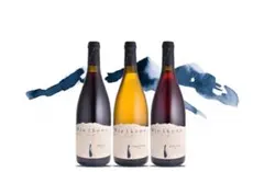 【希少】ドメーヌミエイケノ　メルロー　Mie Ikeno Merlot 2022 星野リゾート リゾナーレ八ヶ岳」7月13日に宿泊者限定で、「Mie Ikeno