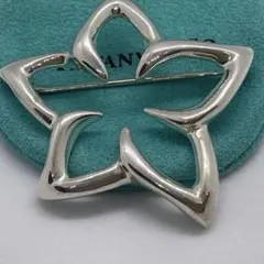 ✨ティファニー ✨Tiffany & Co. スター ブローチ シルバーのサムネイル
