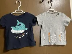 【5/6まで】半袖Tシャツ2枚セット 90サイズ　ベルメゾン