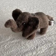 Item thumbnail for item cc4d1645-6fbe-4112-8a88-b65099740bd7