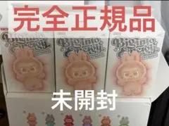 【正規品・完全未開封】Labubu Big into Energy ３個