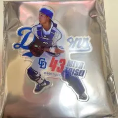 PLAYERSマグネットクリップ43番